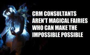 independent crm consultants